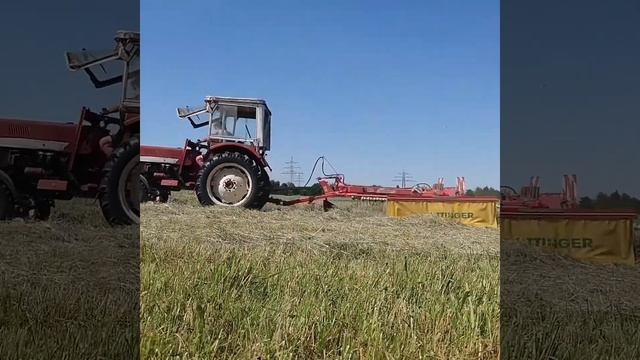 Молния ударила в человека 7 раз. 5 невероятных случаев везения.