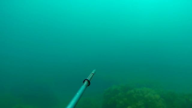 Подводная охота в Чёрном море 2017 год.