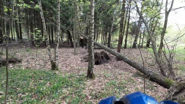 Алексеевский пруд..mp4