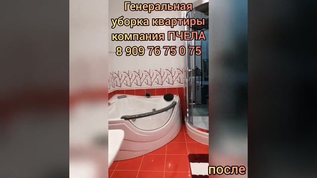 Генеральная уборка квартиры. Клининговая компания ПЧЕЛА