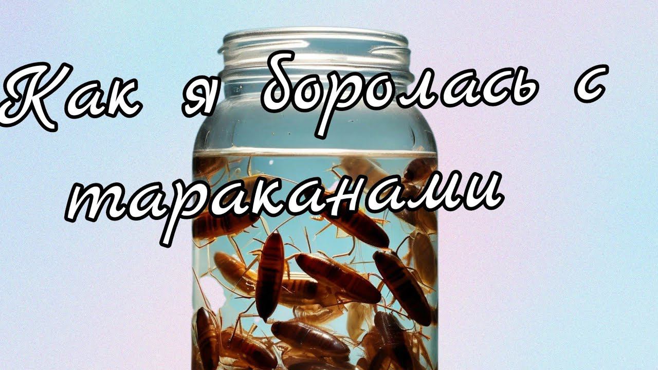 как я боролась с тараканами.