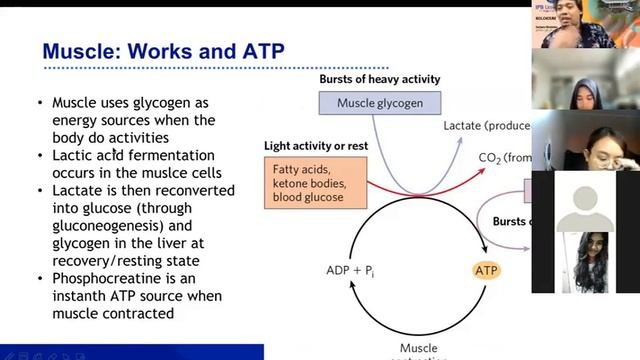 integration of metabolism