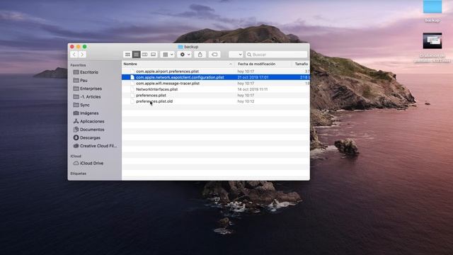 SOLUCIÓN: Mac no se conecta a internet (macOS Catalina)
