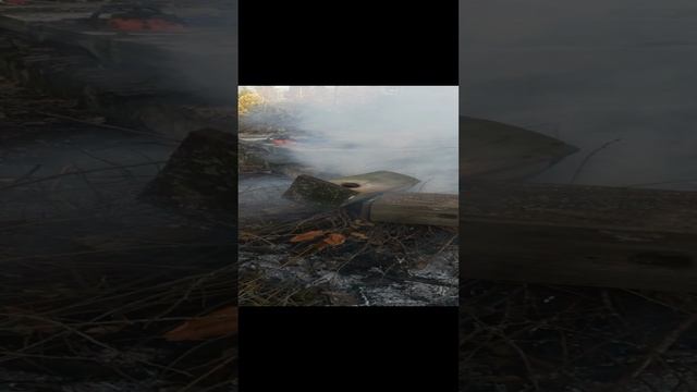 VID_20221024_155842.mp4