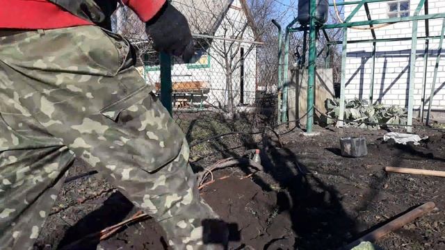 Укрытие винограда в ноябре 2021