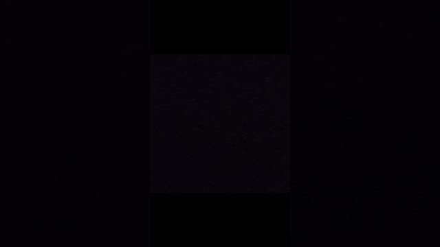 3 подпишика