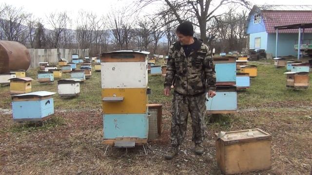 500+ Изоляция маток в медосбор. Подведение итогов.