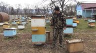 500+ Изоляция маток в медосбор. Подведение итогов.