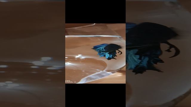 мой новый друг Аркаша ? ?