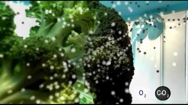 Набор "Умный Холодильник"