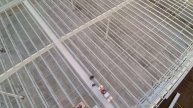 Roof Start Dry Add