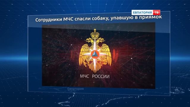 Сотрудники МЧС спасли собаку, которая упала в приямок.
