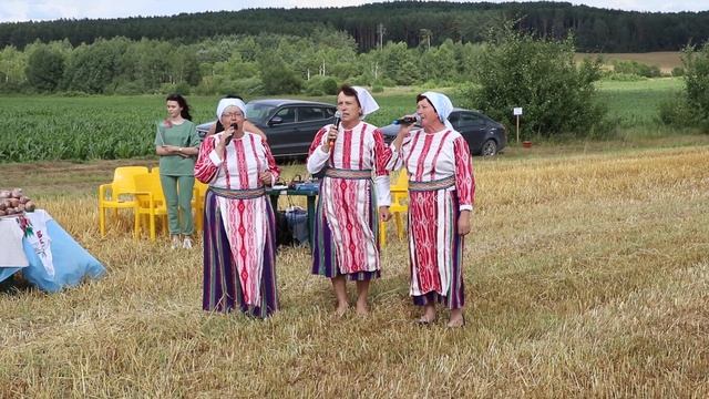 Зажинки