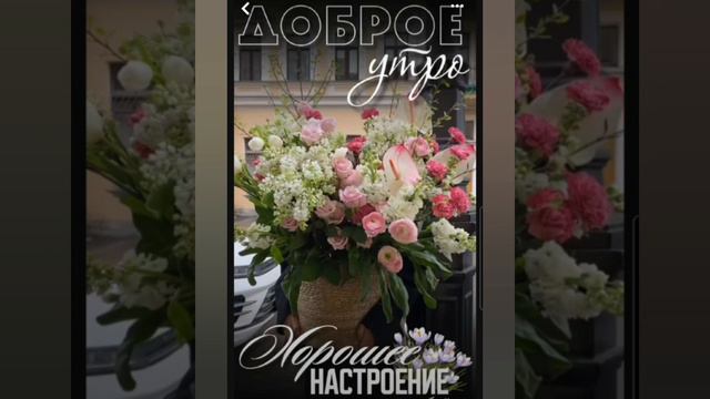 Доброе утро #доброеутро #благодарность