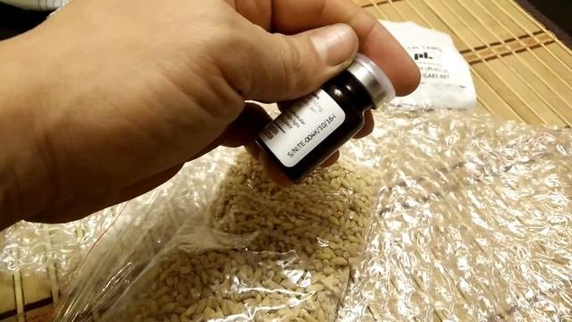 Посылка от братьев Паркер отзыв о работе.