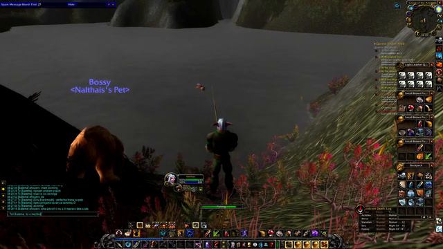 WoW Classic HC Hunter L17-P2 (Mortal Pet)