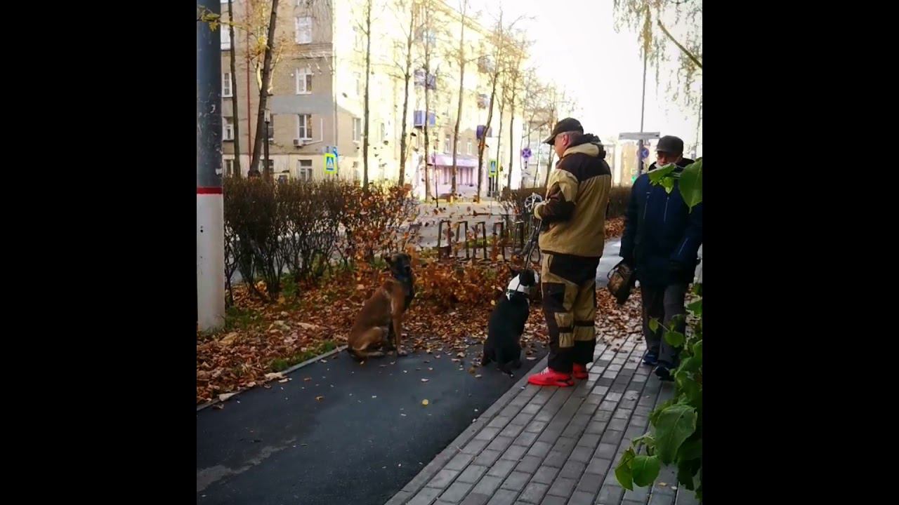 Выдержка тренировка. Не упускаем возможности  Узбеки не отказали в просьбе.