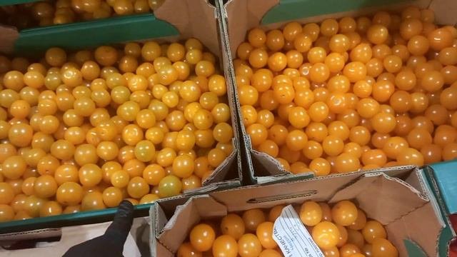 Цена на Огурци Помидори и фрукти, Фуд - Сити 🥒🥒🍄🍅🍅🍇🍇🍆🍆