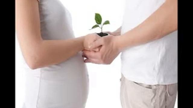 Тонкости ЭКО: Как бесплодные пары могут стать родителями?