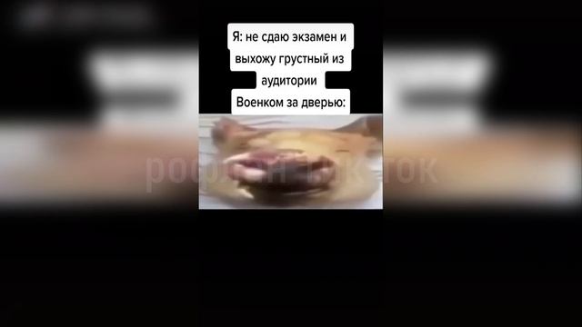 тик ток решил дунуть
