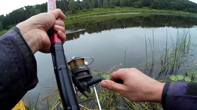 Рыбалка на поплавок на пшеницу Бонус.Голавль 1.5кг