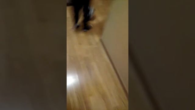 У меня день рождения Мне 8 лет показал гироскутер
