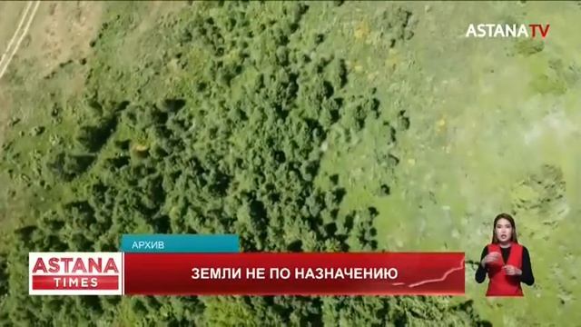 Земли под элитные дачи и зоны отдыха незаконно раздавали чиновники в Туркестанской области