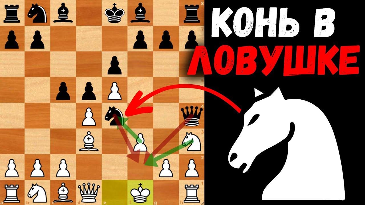 Конь очень быстро попался в ловушку!  Шахматная ловушка в Защите Алехина