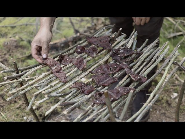 3 дня одиночного путешествия по бушкрафту - сушка мяса, пляж и лес, спальный мешок, сон под звездами