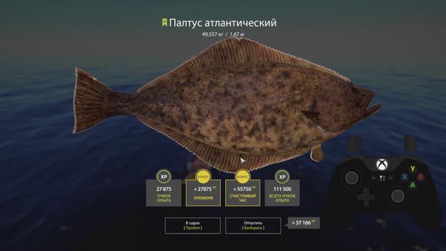 Русская Рыбалка 4 (РР4) Море. На Геймпаде.