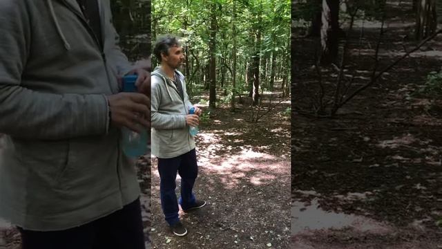 О Целостности, У-Син, Прежнем и Позднем Небе и Шагах. Часть 2