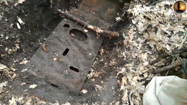 Находка в корнях старого ДУБА