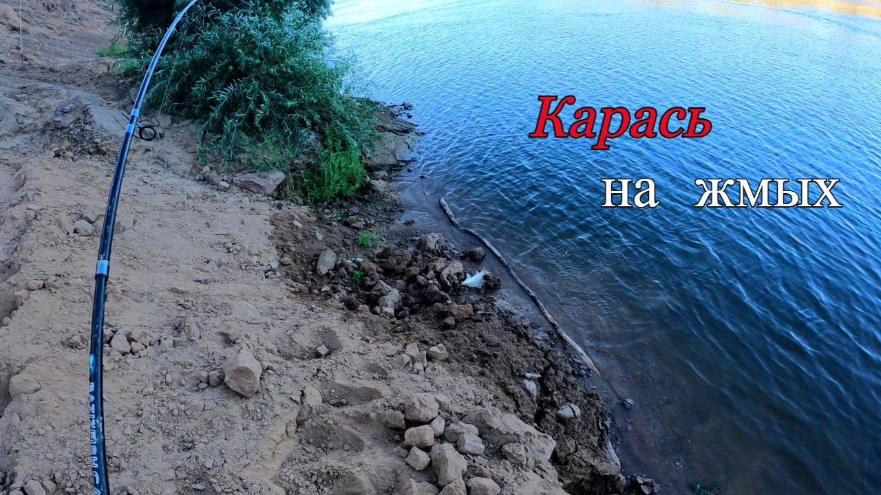 Ловля карася на жмых