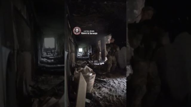 2_5228984015565889607.MOV