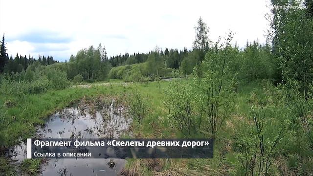 Ч1 0-46-53 Уральские таежные реки