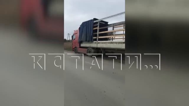 Дельцы из Нижнего Новгорода обманули на миллионы рублей дальнобойщиков со всей России