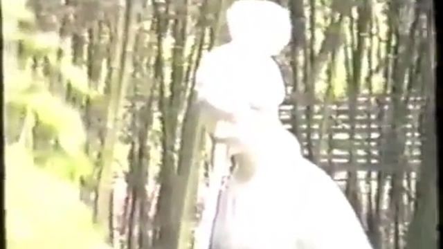 Старая запись Ши Мин