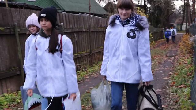 «Дай лапу, друг». Дашкевич Тамара, 16 лет. ГБОУ школа № 543 Санкт-Петербурга. Медиа-центр «Кадр 543