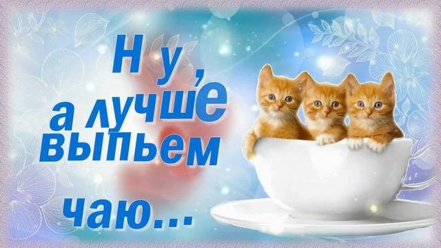Можно к тебе в гости?  Доброго вечера и позитивного настроения!