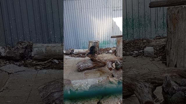 Я в зоопарке