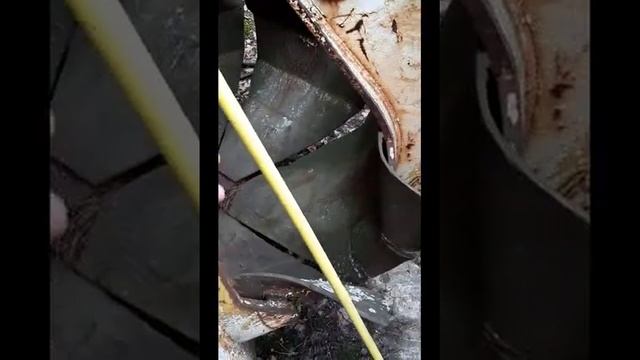 Припять 2019  я и ковш