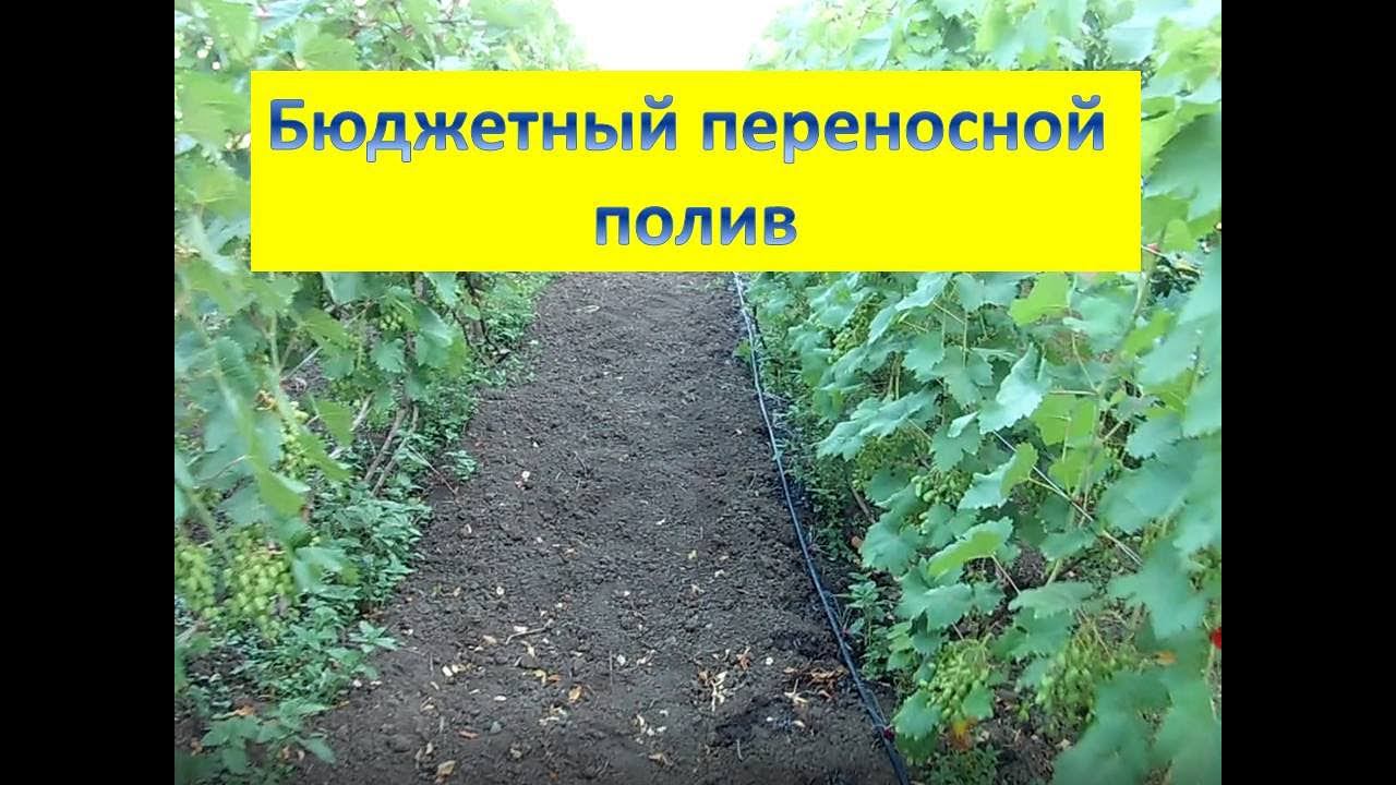 Делаю бюджетный мобильный полив