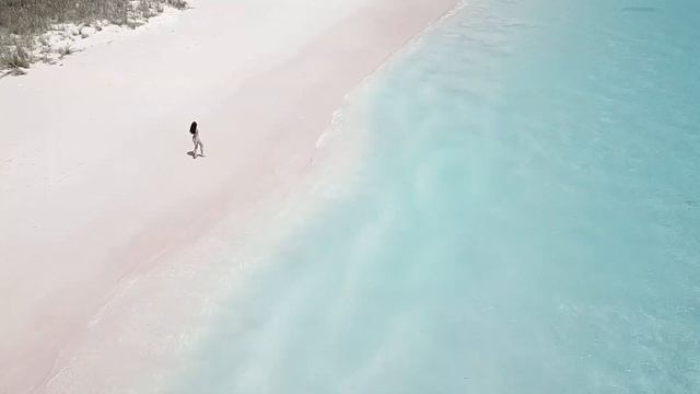 KOMODO SAILING TRIP 2018? | with dinotripkomodo