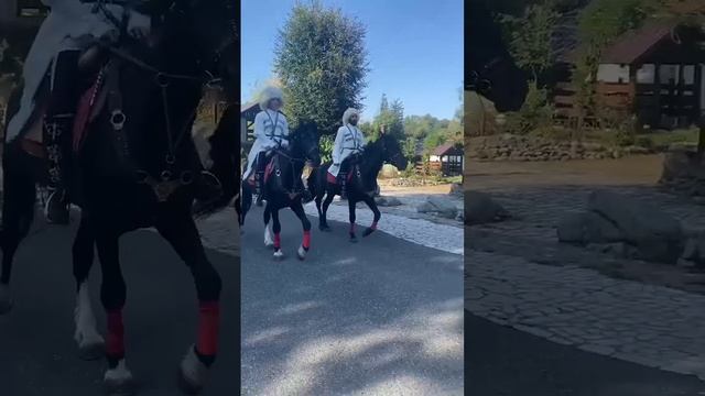 выдвигаемся🐴 AzzArt