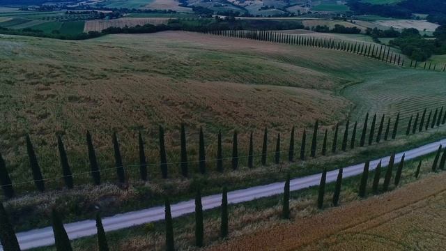 ITALIAN GARDEN MAKEOVER & WEDDING PREPARATIONS, TUSCANY ITALY