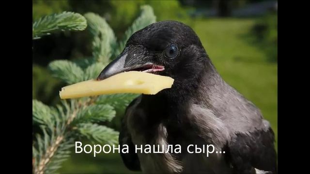 Нашёл,нашла,нашли...