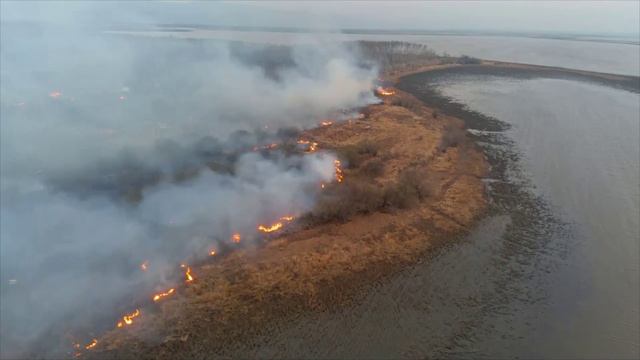 Комсомольчане страдают дыма от лесных пожаров, виной которым травяные палы