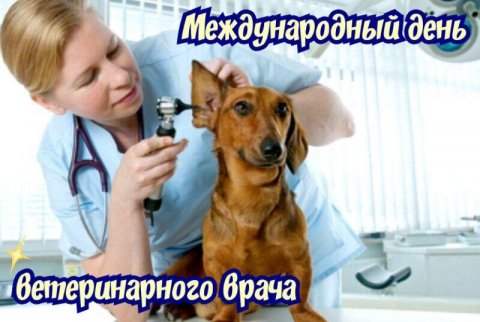 27 апреля международный день ветеринарного врача. Поздравляем с праздником!