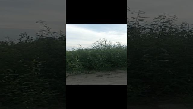приехал порыбачить