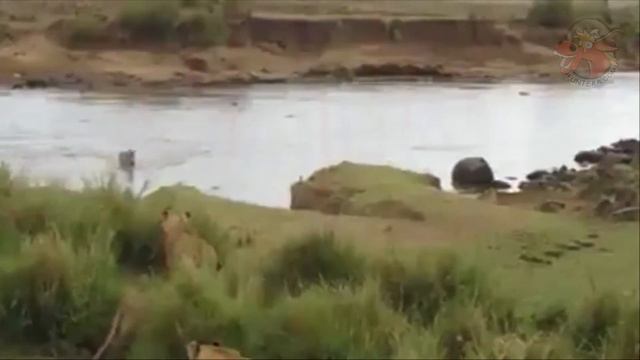 Когда зашел не в тот район!? 😲🏃💪